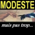 Avatar de Tony Letrouvé